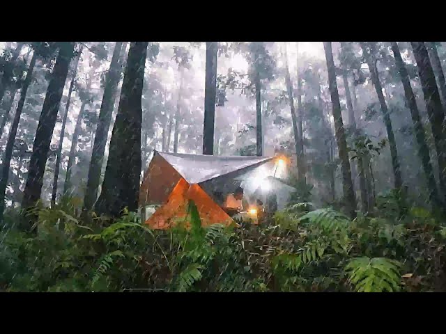 🏕️ RAIN FOREST Camping, heavy rain camping 🌧️ (Silent Vlog) class=