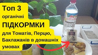 Три органічні підкормки томатів, перців та баклажанів в домашніх умовах. Просто, дешево і ЕФЕКТИВНО