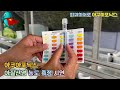 020. 아쿠아포닉스 아질산염(Nitrite) 농도 측정 [피쉬히어로 아쿠아포닉스]