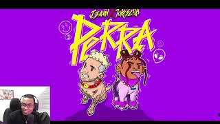 J Balvin, Tokischa- Perra (Video Reaccion) - Negro Bon