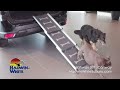 HW Oct 25 Pet Owner of the Month New