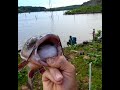 Truman Lake Catfishing!