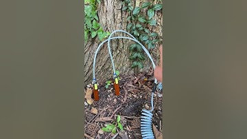 Quantum injection system by Rainbow part 2