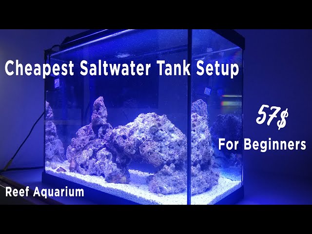 Cheapest Reef Tank Setup for Beginners l Nano Saltwater Aquarium