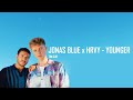 Jonas Blue HRVY Younger Acoustic Lyric Video mp3