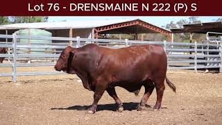 Lot 76   DRENSMAINE N 222 P S