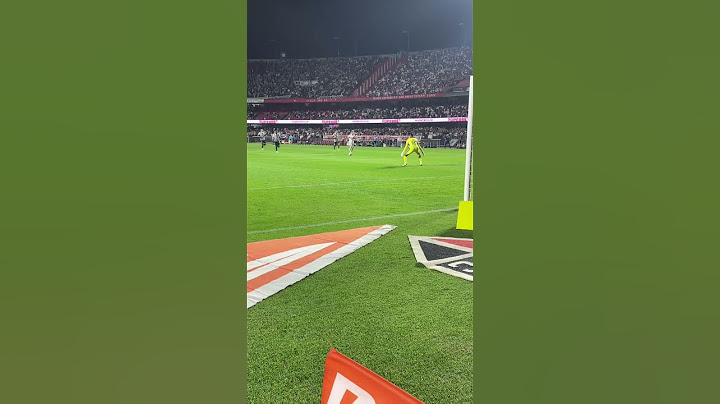 Gol do Ferreirinha - São Paulo 2 x 2 Botafogo - Brasileirão 2024