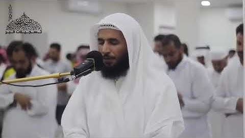 سلمان النفيعي من سورة يوسف