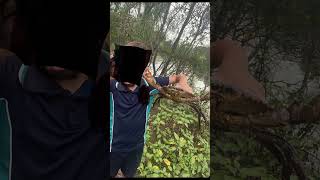 On point fishing lately. If you sub I’ll sub back