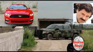 Celebrity Suegra del Chapo reclama Mustang a PGR! Wealth