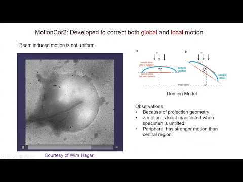 MotionCor2 and AreTomo