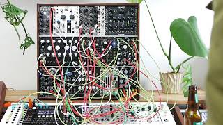 Patch Experiment - Using Befaco Rampage to Add Subharmonics [then thru QPAS and Elements' resonator]