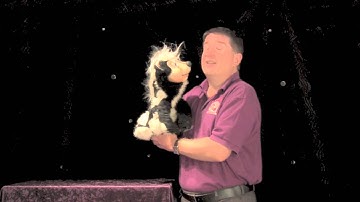 PUPPETRY FOR BEGINNERS Part 3b: Staging (Your Hand)