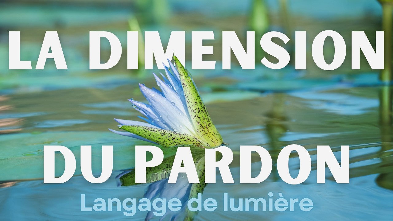La dimension du pardon l Langage de lumière I Activation de l'ADN I Conscience 5D I Nouvelle Terre