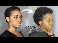 4 Month Post Big Chop Update + Hair Growth Tips For Short Natural Hair
