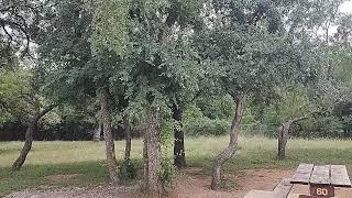 Video of Lake Brownwood State Park Campground, TX from Andy M.