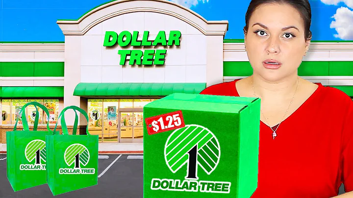 Dollar Tree Knockoffs Brands Don't Want YOU to Kno...