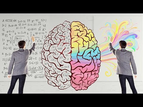 좌뇌와 우뇌의 신기하고 재미있는 차이점들