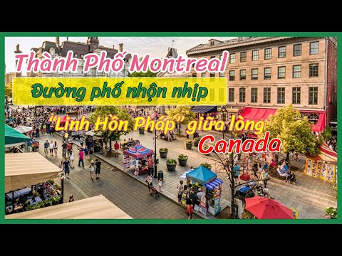 Video: Tham quan Cung thiên văn Montreal Cùng Trẻ em