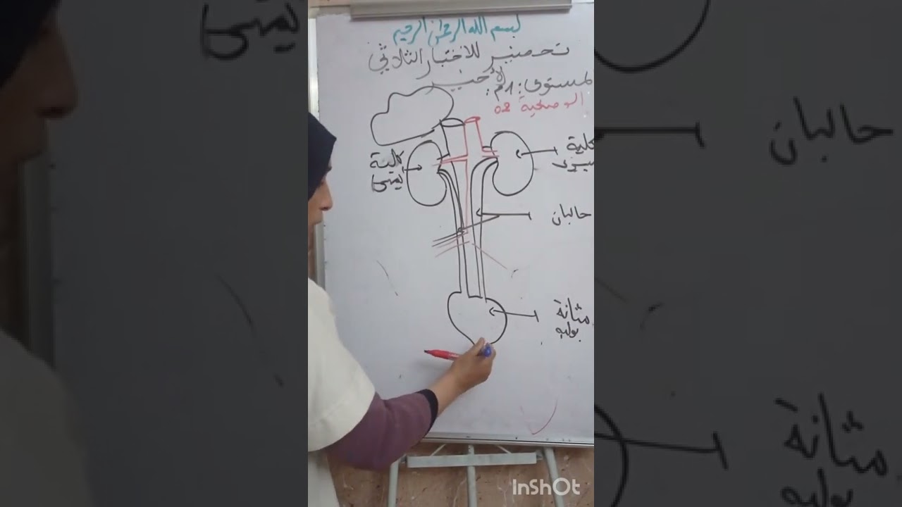 وضعيتان حول الاطراح عند الانسان لسنوات الاولى متوسط تحضير للفصل الأخير بالتوفيق للجميع