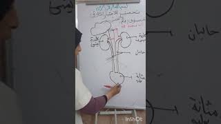 وضعيتان حول الاطراح عند الانسان لسنوات الاولى متوسط تحضير للفصل الأخير بالتوفيق للجميع