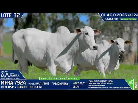 LOTE 32   MFRA 7924
