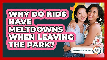 Why Do Kids Have Meltdowns When Leaving The Park? - Sibling Harmony Hub