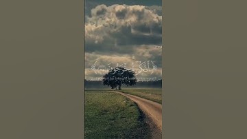 القارئ ياسر الدوسري! (وَلَئِنْ أَطَعْتُم بَشَرًا مِّثْلَكُمْ إِنَّكُمْ إِذًا لَّخَاسِرُونَ) #قران