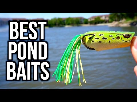 TOP 5 POND BASS FISHING BAITS - Bass Fishing Tips 