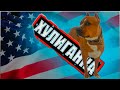 Американская хулиганка pitbull Tiguana Hard Race