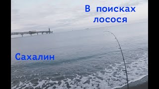 : .   . .
