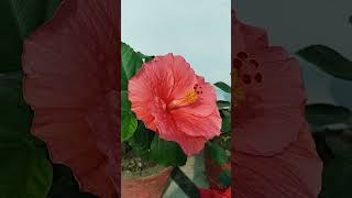 January 28, 2025 Type Natural Scenery Lover