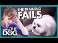 Training Fails as Dog's Trust 'Cannot be Salvaged' |  It's Me or The Dog