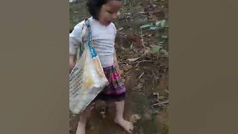 Truc Linh Hmongz đi bón phân cho cây quế.