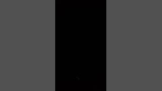 Story WA Lagu Dangdut Duda