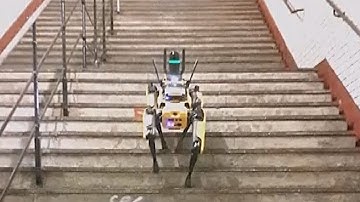 Роботы в метро и искусственный интеллект для слепых: техновыставка в Париже