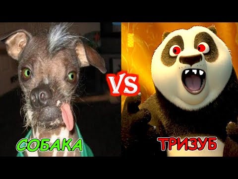 БОЙ ЗА ТИТУЛ МАКСА НОВОСЁЛОВА True Gum MMA