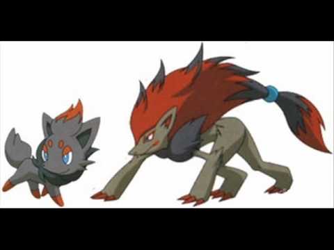 poll 1 zorua evolution youtube zorua evolution chart