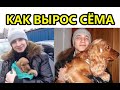 Как Сёма был щенком: от 2 месяцев до 9 лет