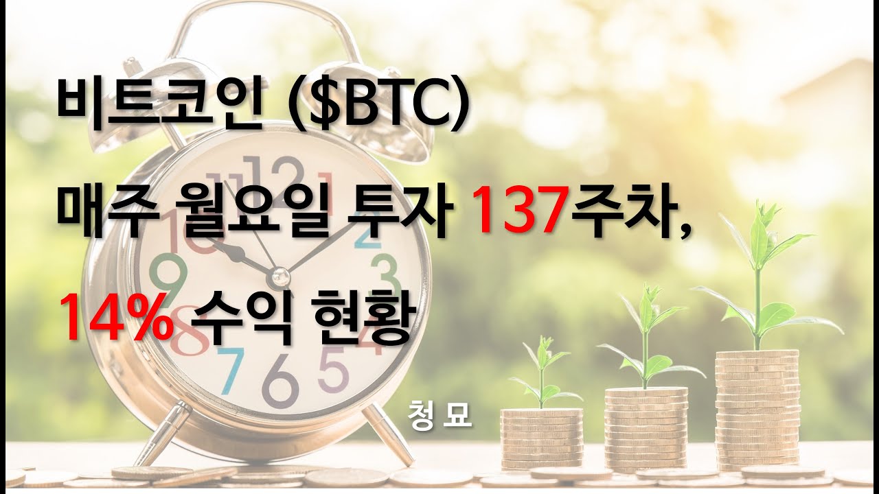 비트코인 매주 월요일 투자 137주차, 14% 수익 현황 - YouTube