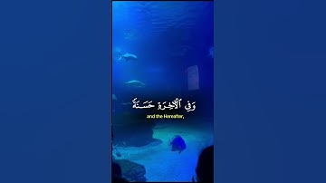 تلاوة مباركة #اكسبلور #دويتو #القرآن_الكريم #الرحمن