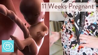 11 Weeks Pregnant: What You Need To Know  Channel Mum