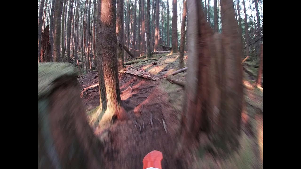 McNutt Ridge Trail YouTube