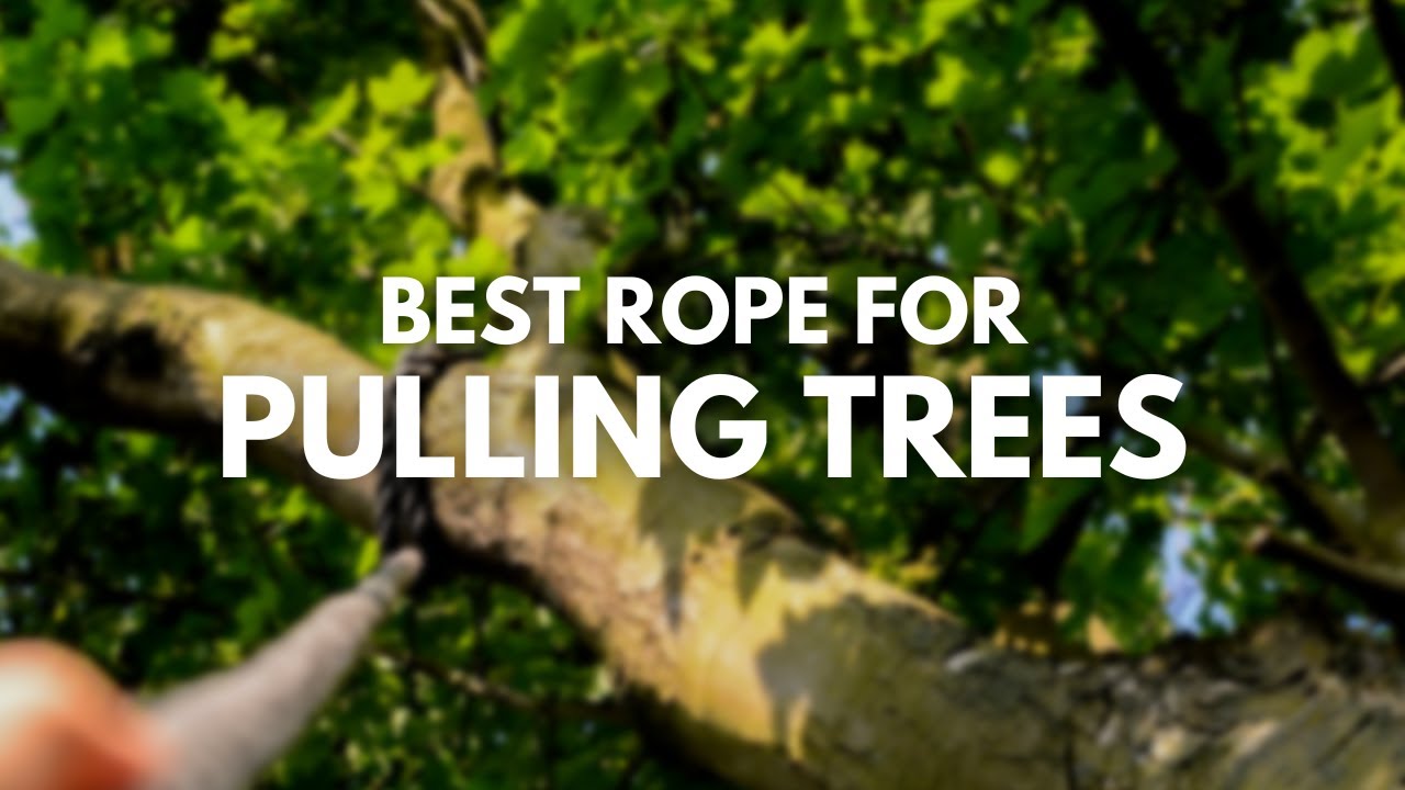 Best Rope for Pulling Trees  Top Rated Bull Ropes 