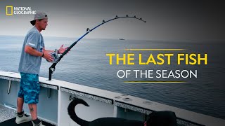 The Last Fish of the Season | Wicked Tuna | हिन्दी | National Geographic