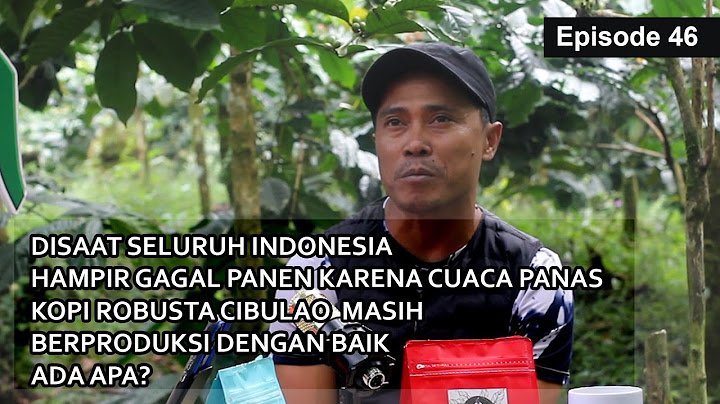 Unik Nih..!!! Ternyata Ada Kopi 'Robusta Bencong'