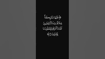 (قوا أنفسكم وأهليكم نارا) #سورة_التحريم #القارئ_عبدالرحمن_ريس #تراويح_رمضان #قرآن #ليدبروا_آياته
