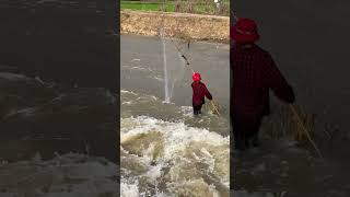 Real Life 100% Net Fishing In River At The Countryside EP #05