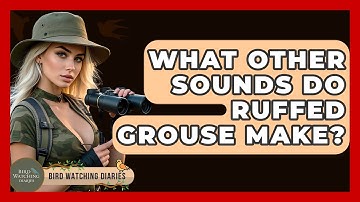 What Other Sounds Do Ruffed Grouse Make? - Bird Watching Diaries