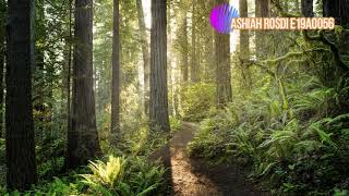 Logging Activities and the Effects on Forest Ecosystem - Natural Resources Economy